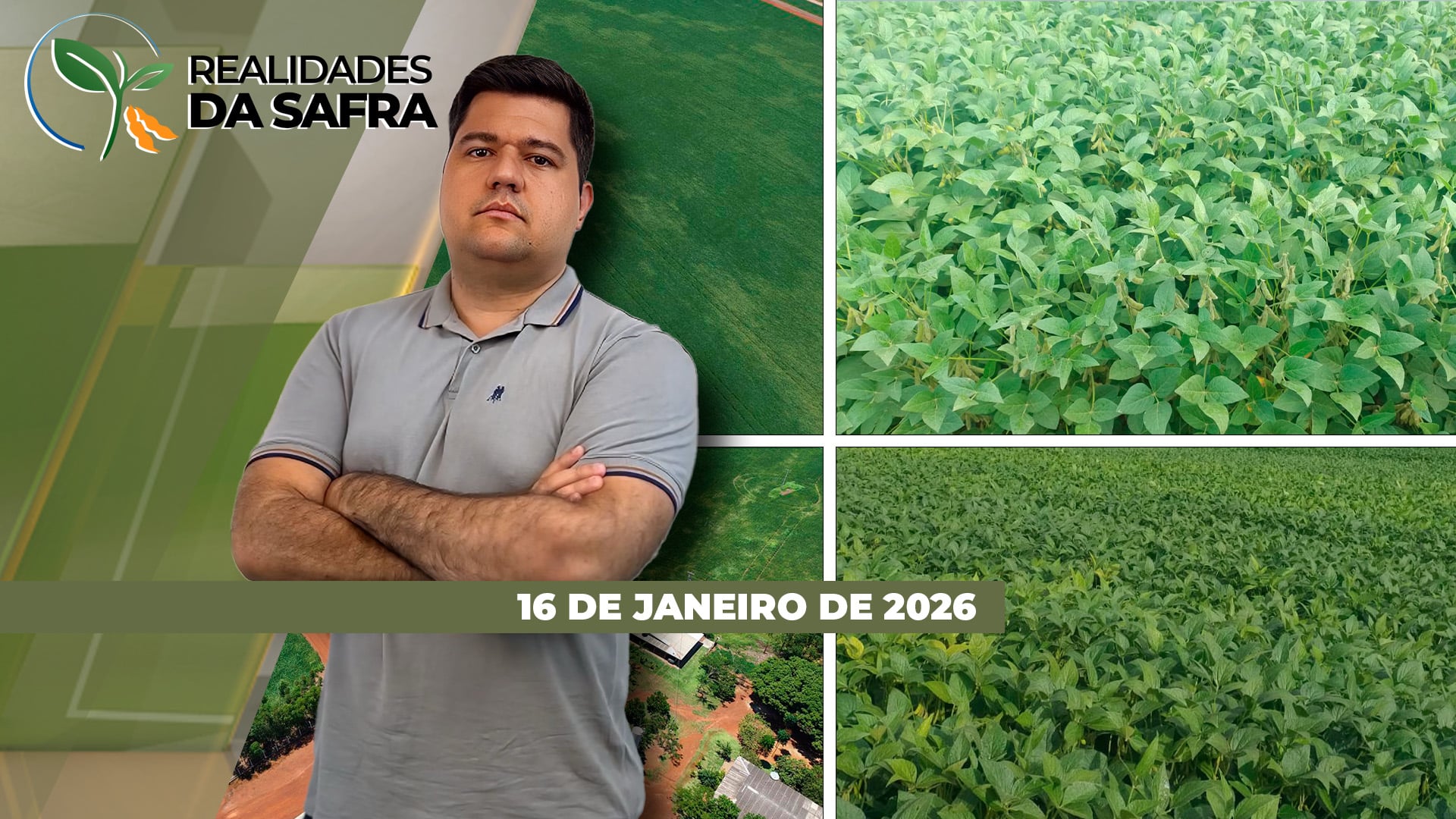 Casos de ferrugem começam a aparecer no Brasil e produtor precisa redobrar a atenção