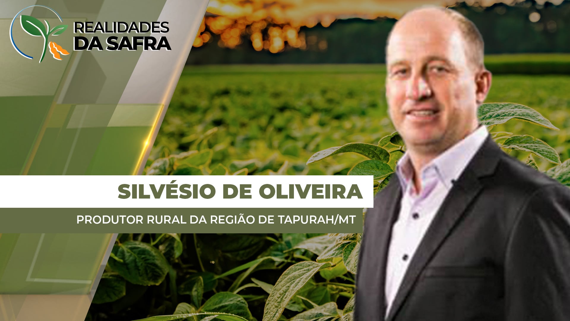 Após regularidade das chuvas, safra de soja tem se desenvolvido bem na região de Tapurah/MT