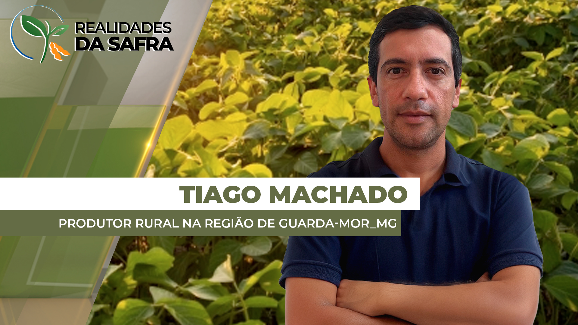 Guarda-Mor/MG tem poucas áreas de soja já plantadas e trabalhos devem avançar em novembro