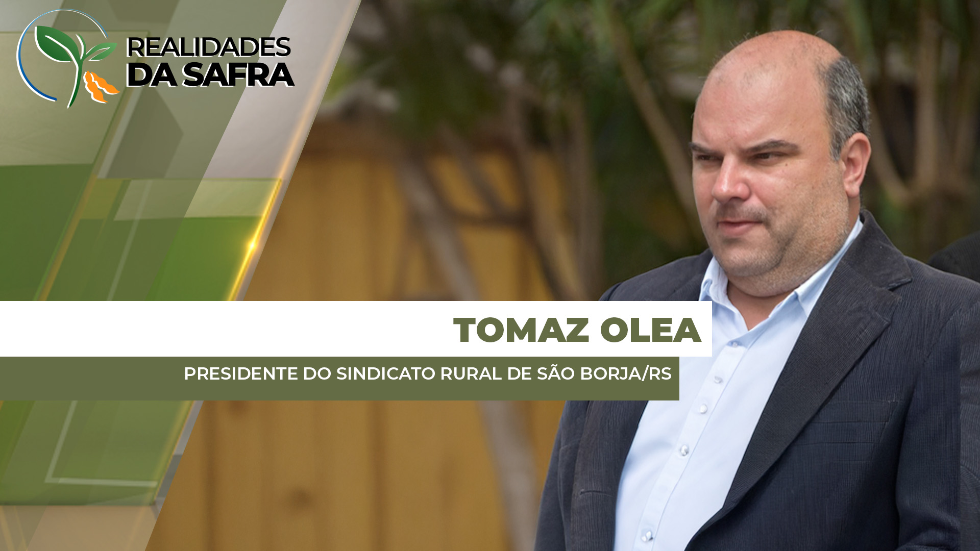 São Borja/RS registra muita chuva, o que tira qualidade do trigo