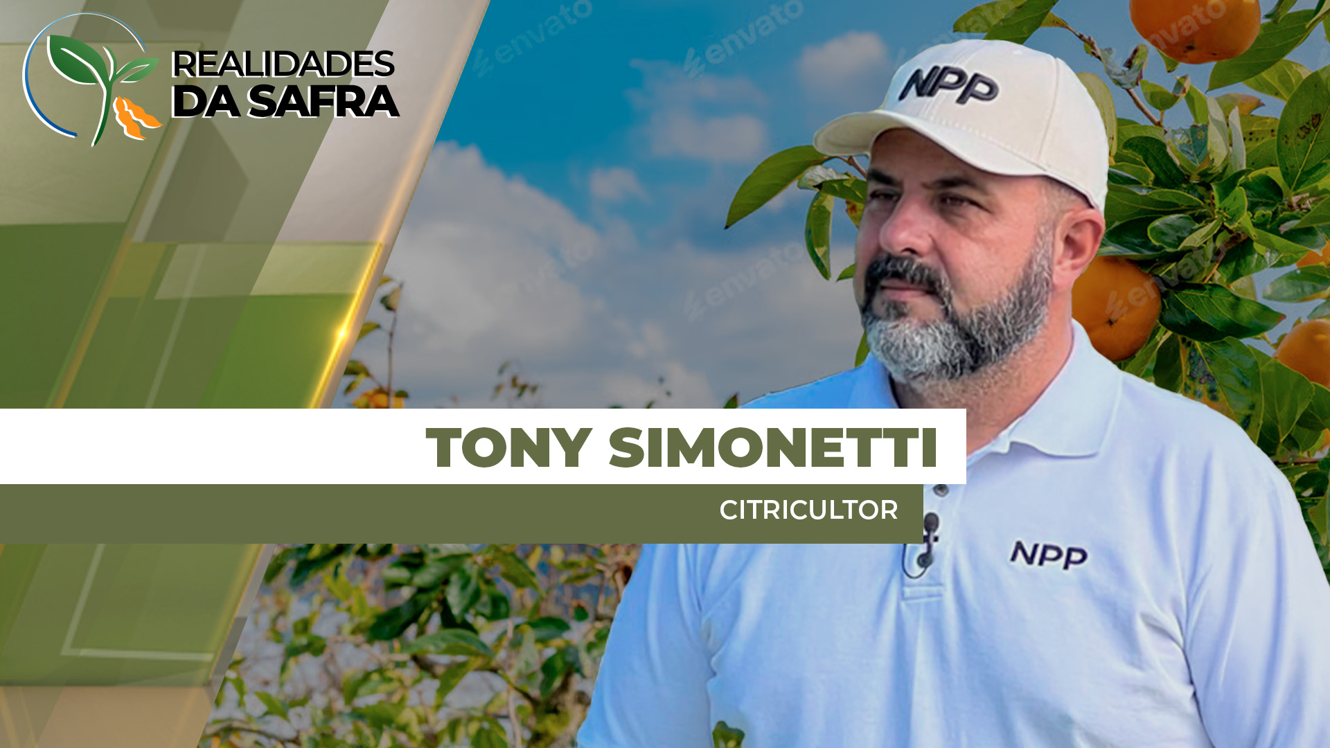 Chuvas do final de semana ajudaram áreas de laranja, mas vento forte derrubou frutas no chão