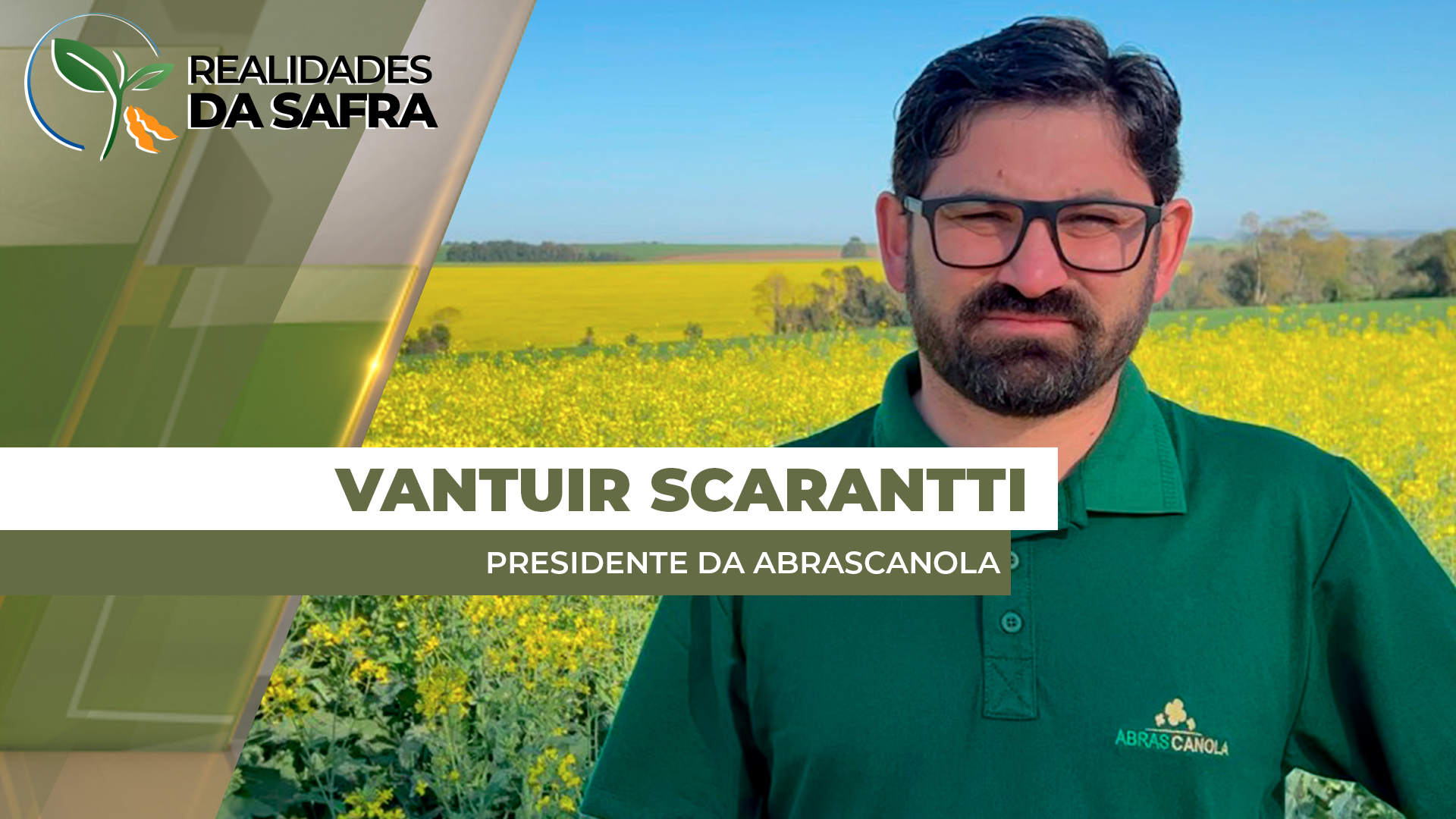 Colheita da canola chega na metade com produtividades positivas