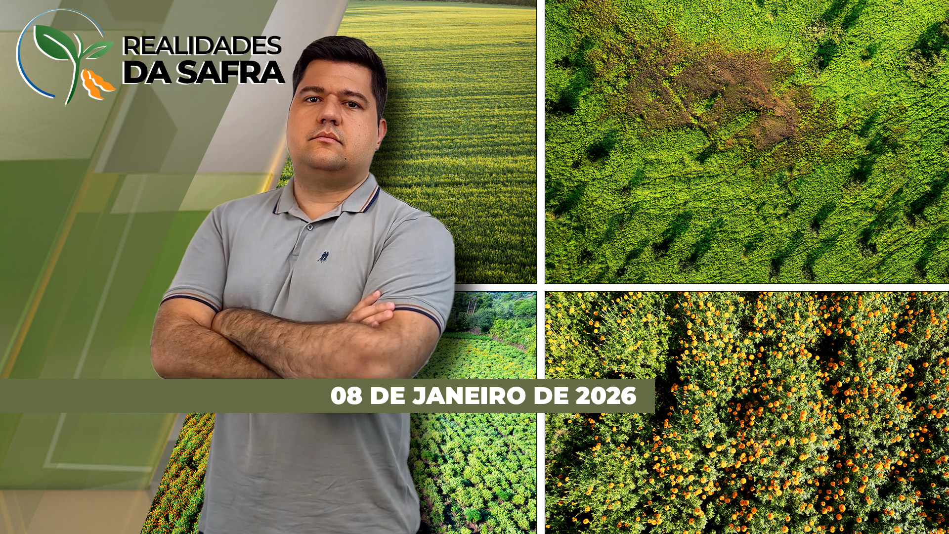 Boas produtividades são esperadas para soja de Guaíra/PR, que já começou a colher, e Amambai/MS, que se aproxima da colheita