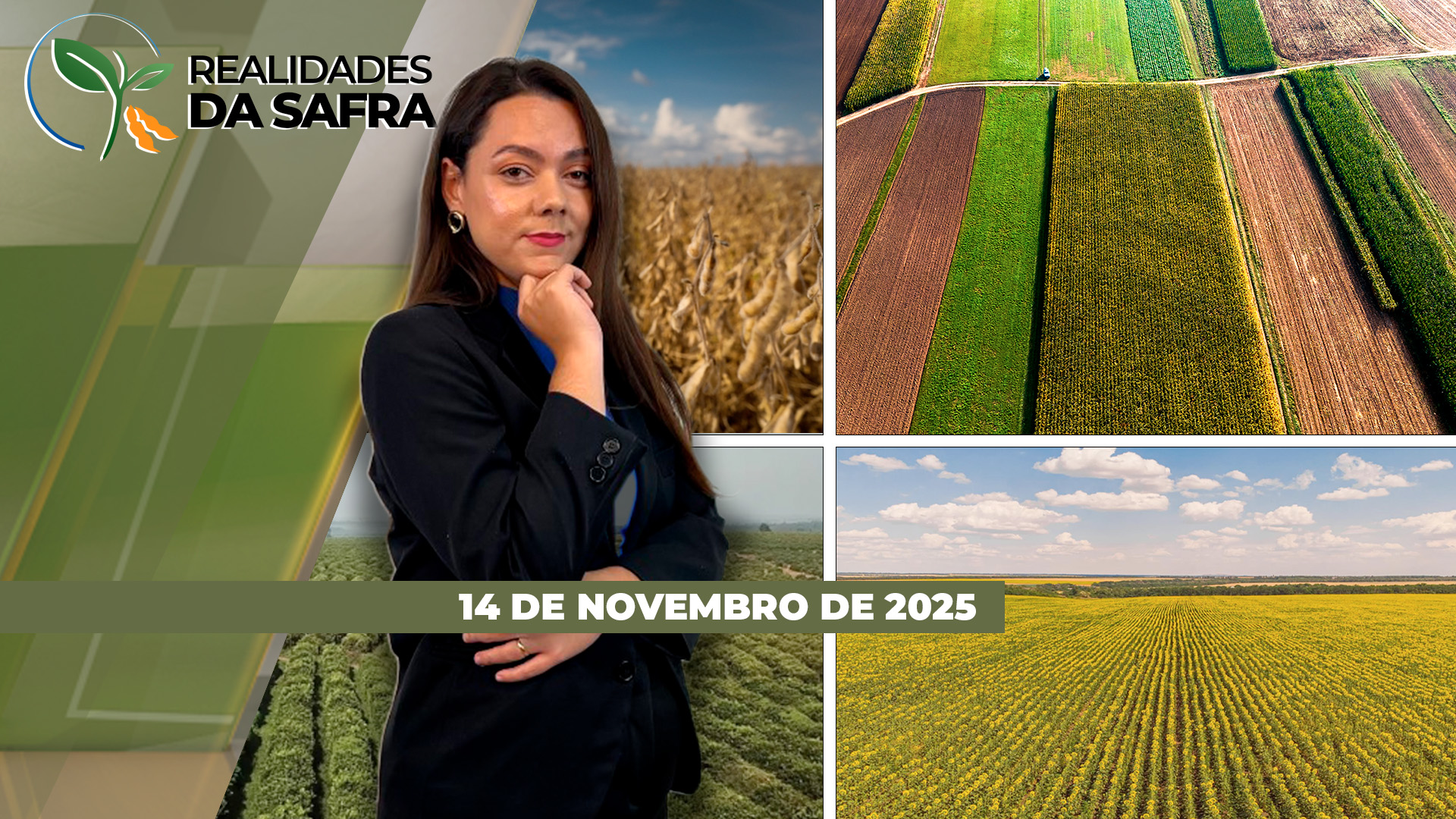 Início da safra no RS vem com chuvas fortes, enquanto no Norte do PR a falta de rotação impacta no desenvolvimento da soja