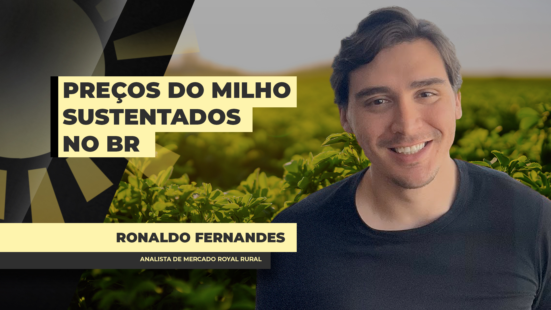 Milho tem preços firmes no BR por demanda forte do etanol e clima irregular no país