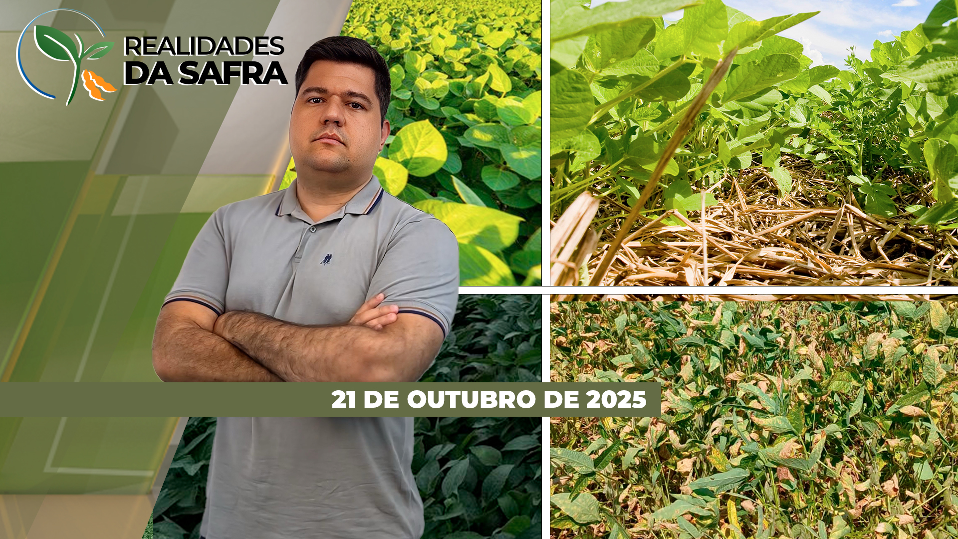 Campo Mourão/PR perto de terminar plantio da soja, enquanto trabalhos voltam a avançar no Vale do Araguaia/MT