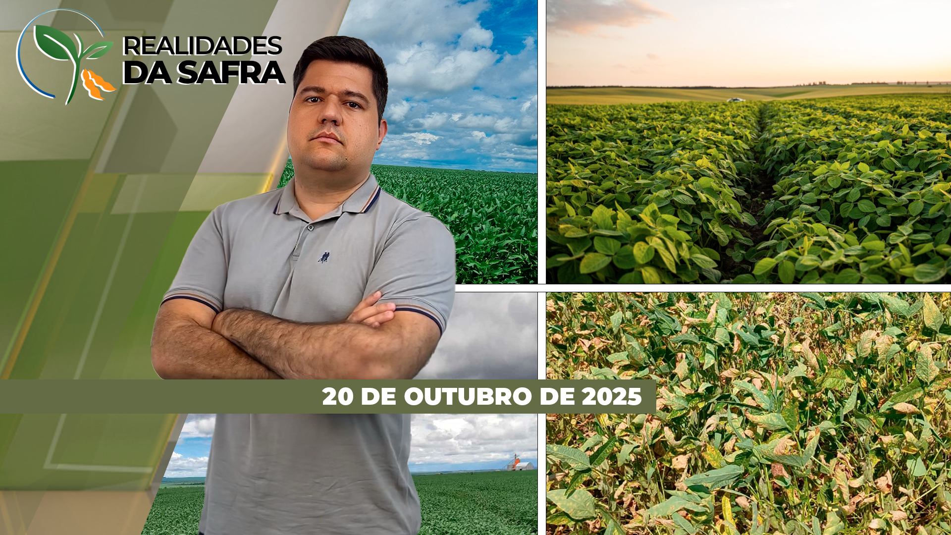 Plantio da soja retoma ritmo no Mato Grosso, mas safra 25/26 deverá ter margens mais apertadas do que ciclo passado