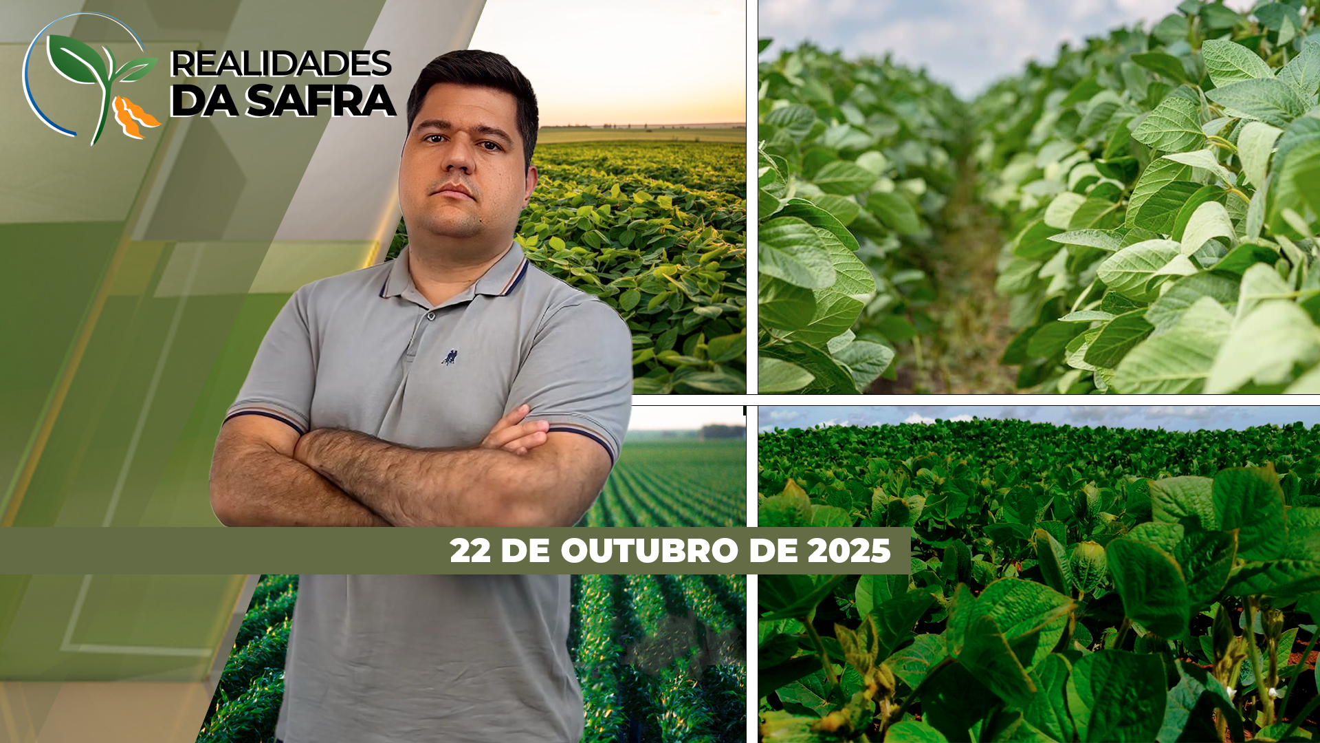 Irregularidade de chuvas traz desafios para o plantio da soja, mas no Paraguai trabalhos entram na reta final Irregularidade de chuvas traz desafios para o plantio da soja, mas no Paraguai trabalhos entram na reta final
