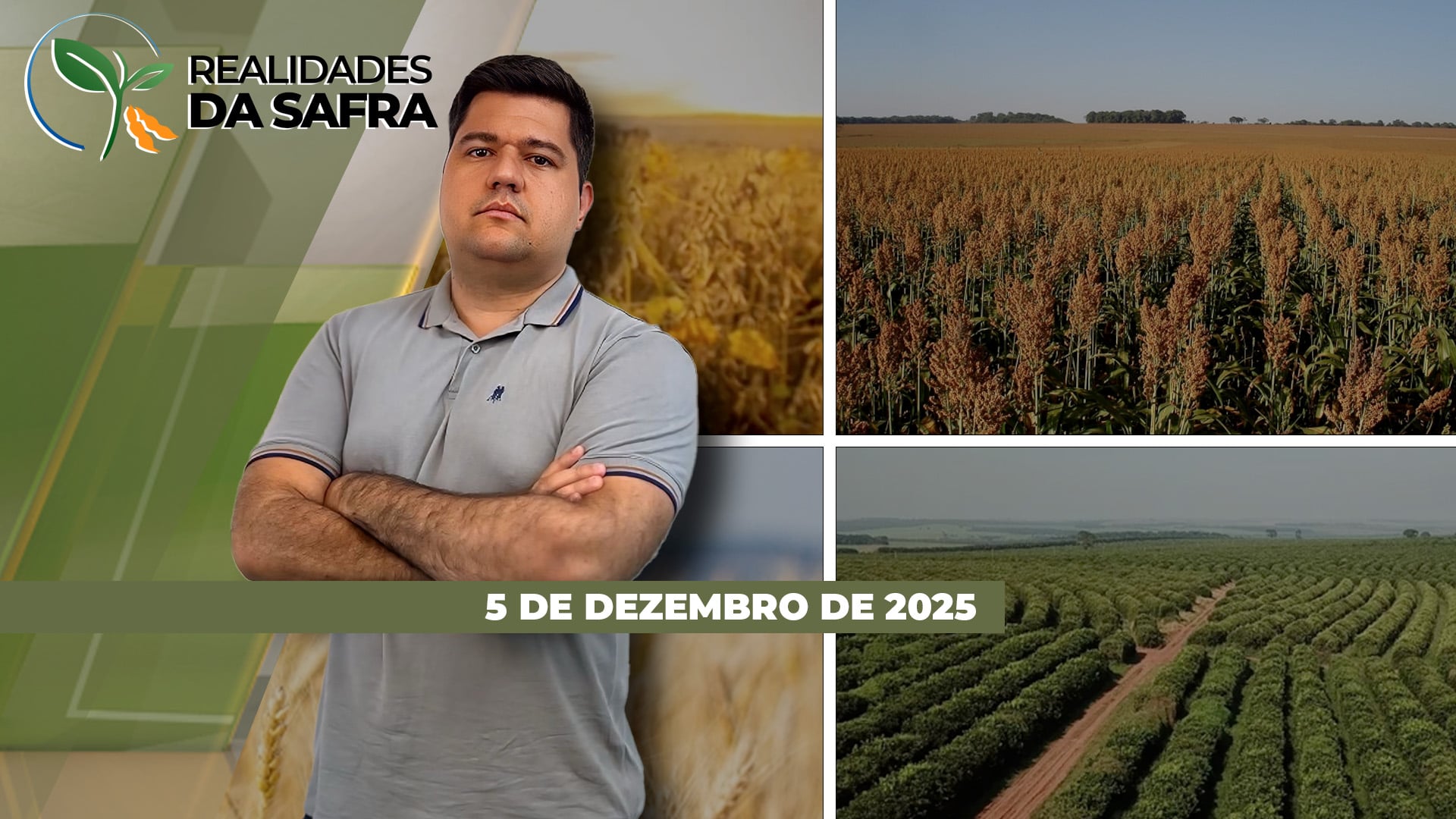 Safra de soja já perdeu potencial produtivo em regiões como Jataí/GO e Araguari/MG