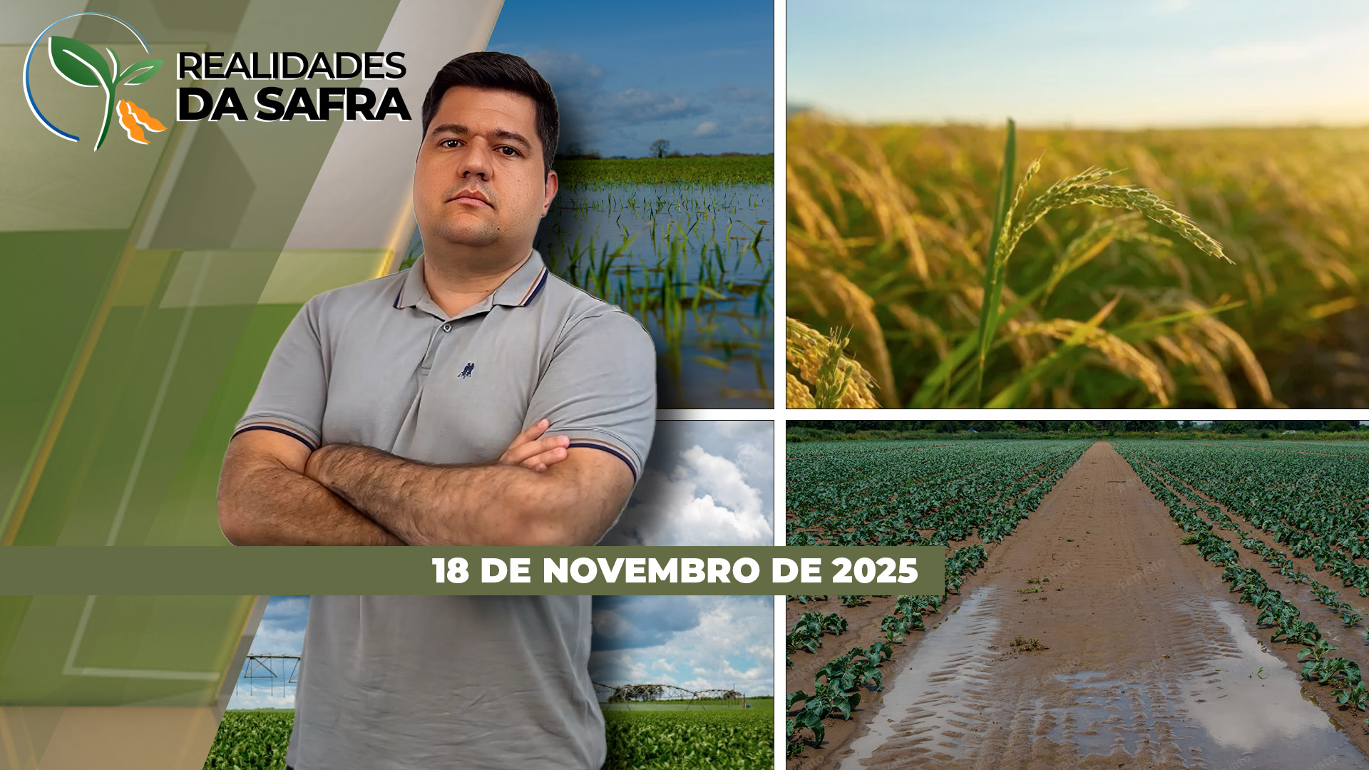 Chuvas seguem irregulares e afetando soja de Rondonópolis/MT, mas precipitações ajudam plantio em Santo Ângelo/RS