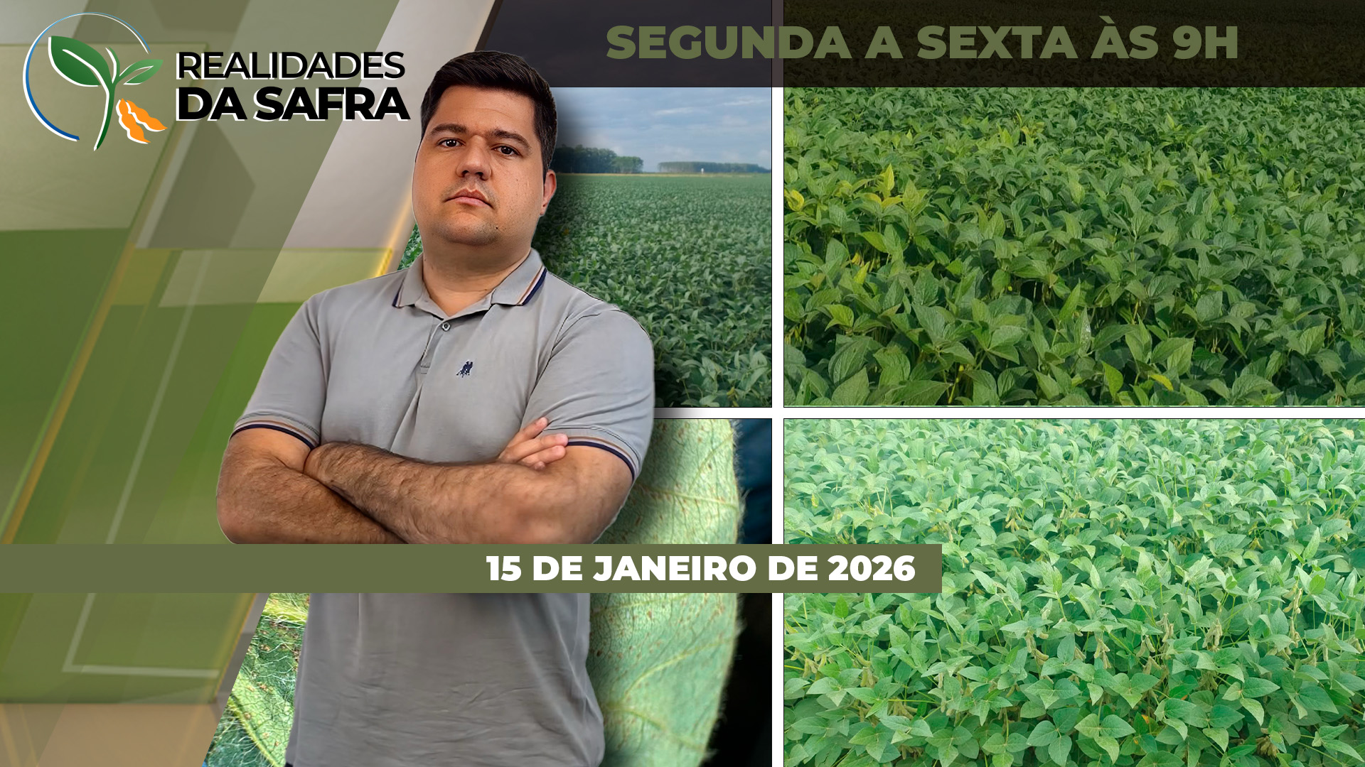 Oeste da Bahia espera boa safra de soja após dificuldades no momento de plantio