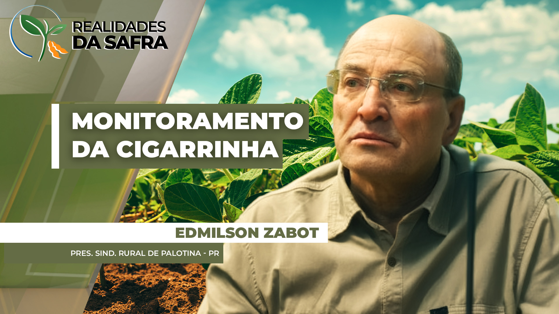 Colheita da soja chega a 75% em Palotina/PR com maiores produtividades já registradas no município