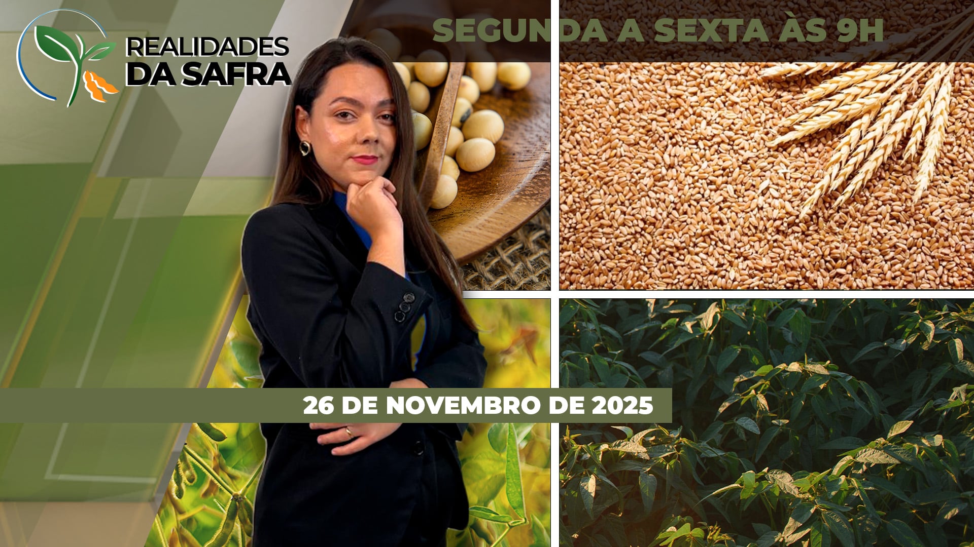 Atraso no início da safra 25/26 inviabiliza a safrinha de milho no Darcinópolis/TO, enquanto Amambai/MS avança no plantio