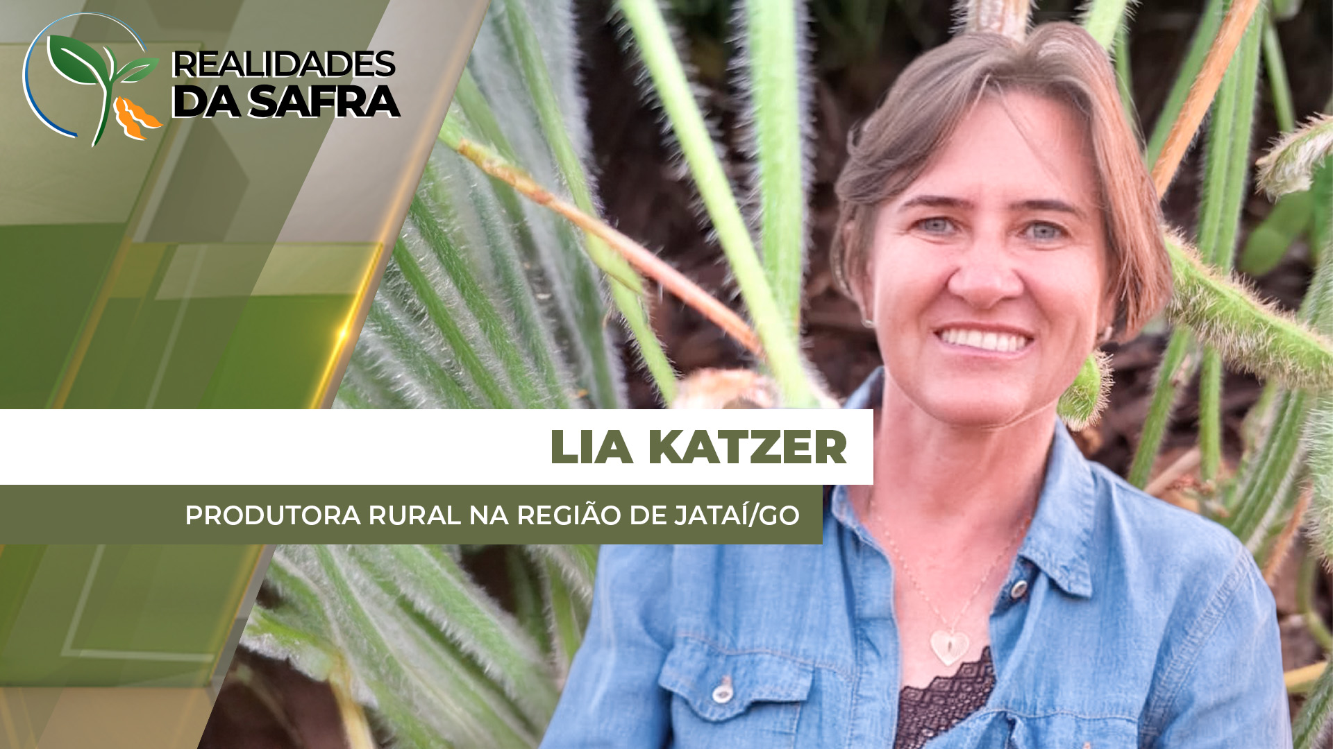 Após novembro muito seco, chuvas de dezembro ajudaram a soja de Jataí/GO