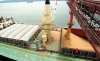 soja exportação