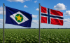 Bandeiras MT e Noruega