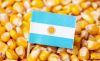 milho argentina