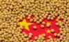 Soja China
