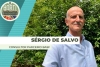 #133 - SITE - Sergio de Salvo - Thumb
