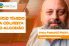 BOLETINS THUMB ALGODÃO