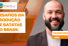 BOLETINS THUMB batatas