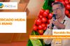 BOLETINS THUMB CAFÉ