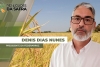 DENIS 2