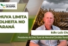 EDIO