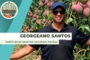 Georgeano Santos site