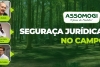 HOME_ASSOMOGI