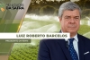 LUIZ 2