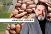 MARCELO