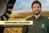 palavro