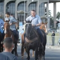 bolsonaro em cavalo