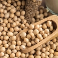 Soja