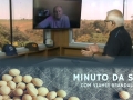 Tempo  & Dinheiro - Minuto da Soja, com Vlamir Brandalizze