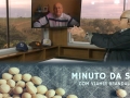Tempo  & Dinheiro - Minuto da Soja, com Vlamir Brandalizze
