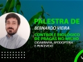 Bernardo Vieira - Palestra