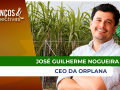 José Guilherme Nogueira - CEO da ORPLANA