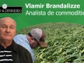 Tempo  & Dinheiro - Minuto da Soja, com Vlamir Brandalizze