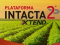 Natalia Carvalho - Líder de Lançamento da Plataforma Intacta 2 Xtend - Bayer