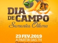 dia de campo