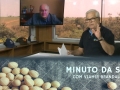 Tempo  & Dinheiro - Minuto da Soja, com Vlamir Brandalizze
