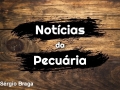 Tempo  & Dinheiro - Notícias da Pecuária, com Sérgio Braga