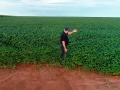João Batista na soja