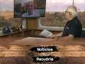 Tempo  & Dinheiro - Notícias da Pecuária, com Sérgio Braga
