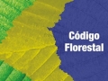 Código Florestal - Destaque 2 - 377x370