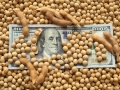 Soja dólar
