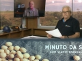 Tempo  & Dinheiro - Minuto da Soja, com Vlamir Brandalizze