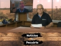 Tempo  & Dinheiro - Notícias da Pecuária, com Sérgio Braga